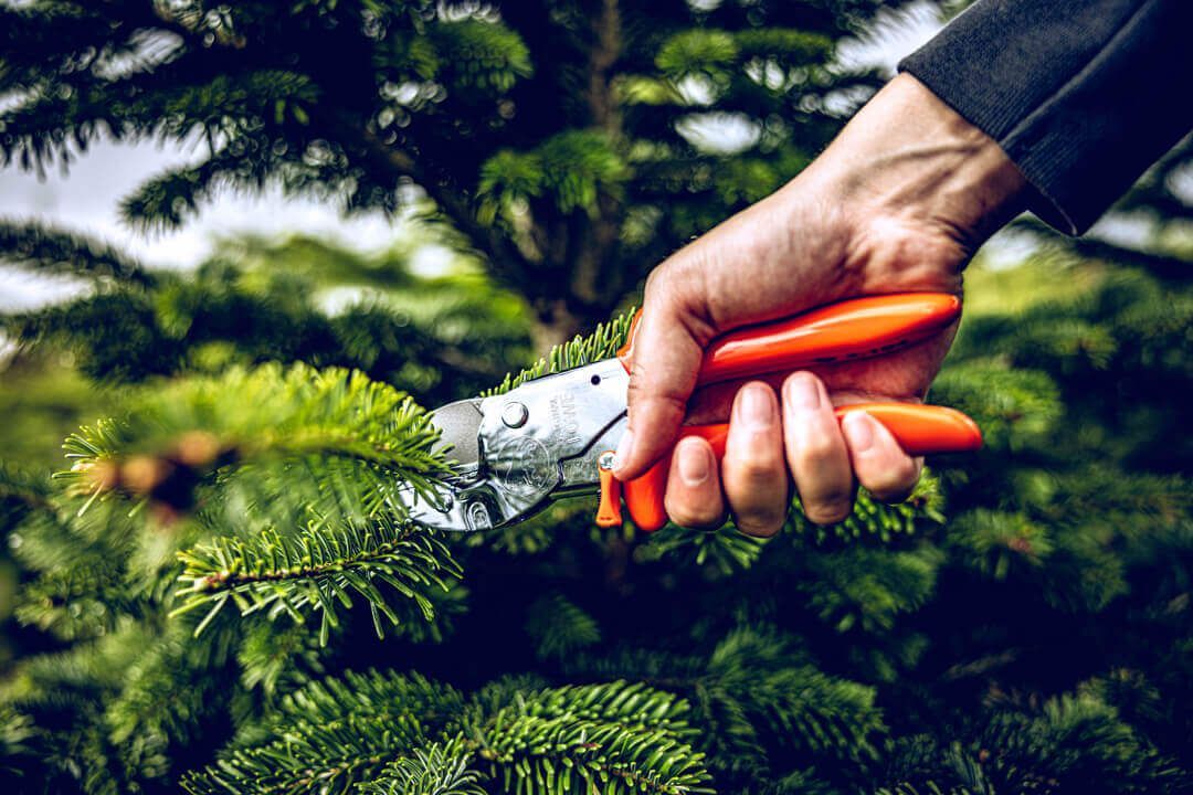 LÖWE Gardening Shear - 2104