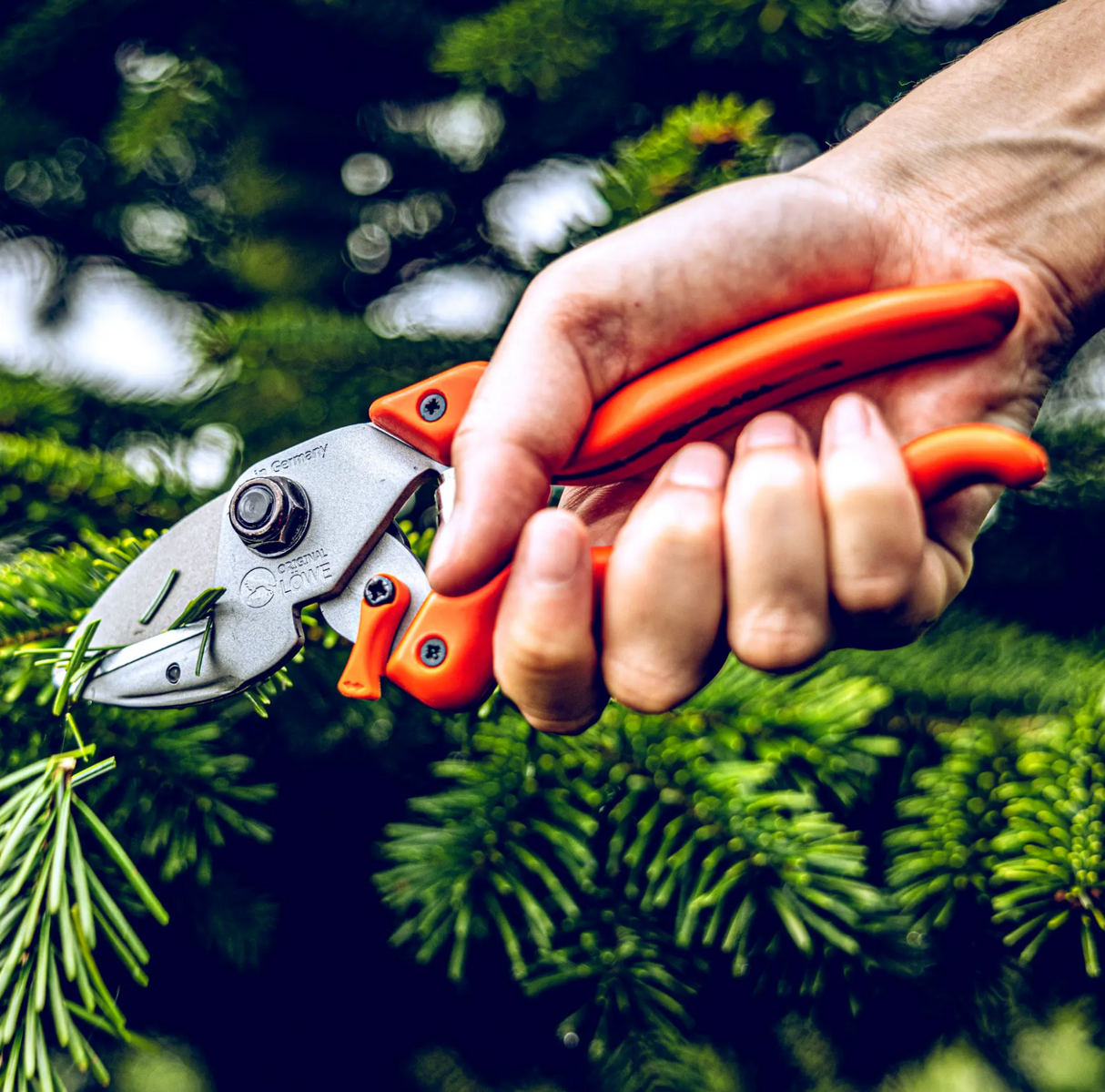 LÖWE Gardening Shear - 6104