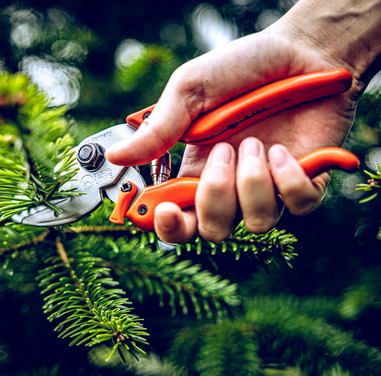 LÖWE Gardening Shear - 6104