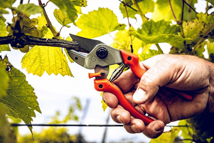 LÖWE Gardening Shear - 7104