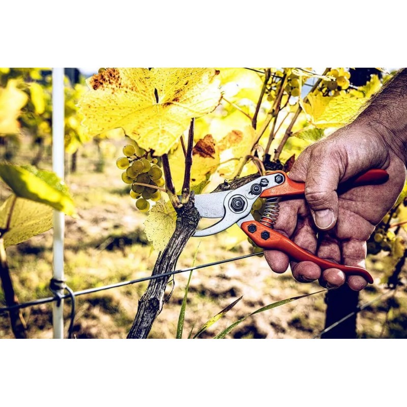 LÖWE Small Gardening Shears - 11104