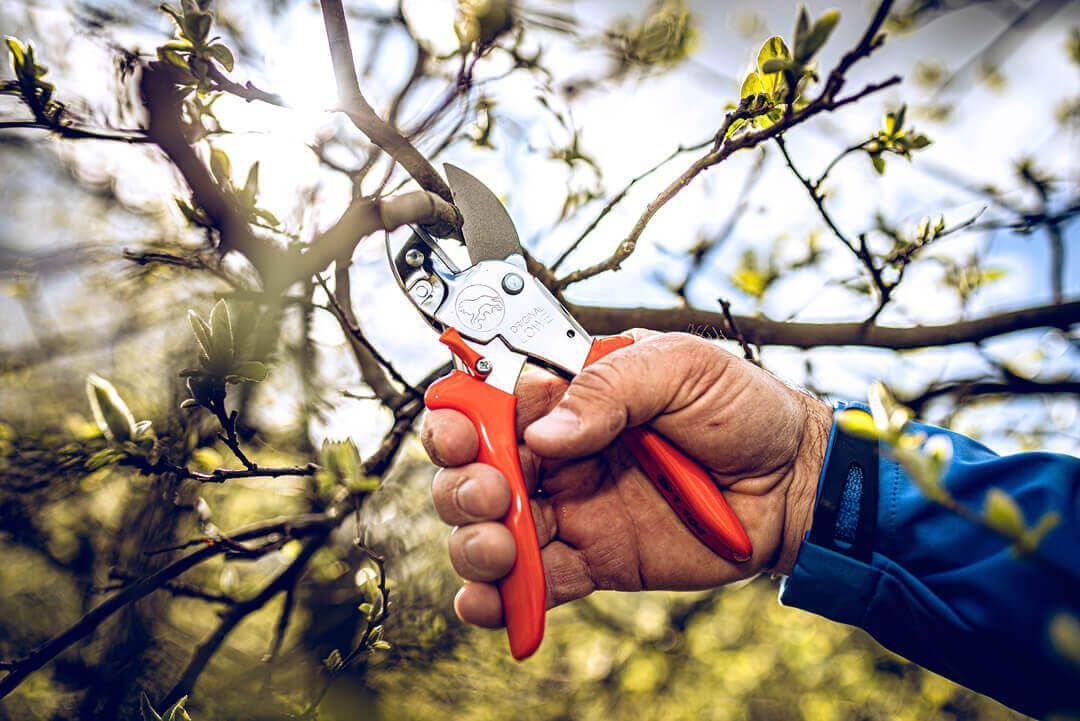 LÖWE Gardening Shear - 1104