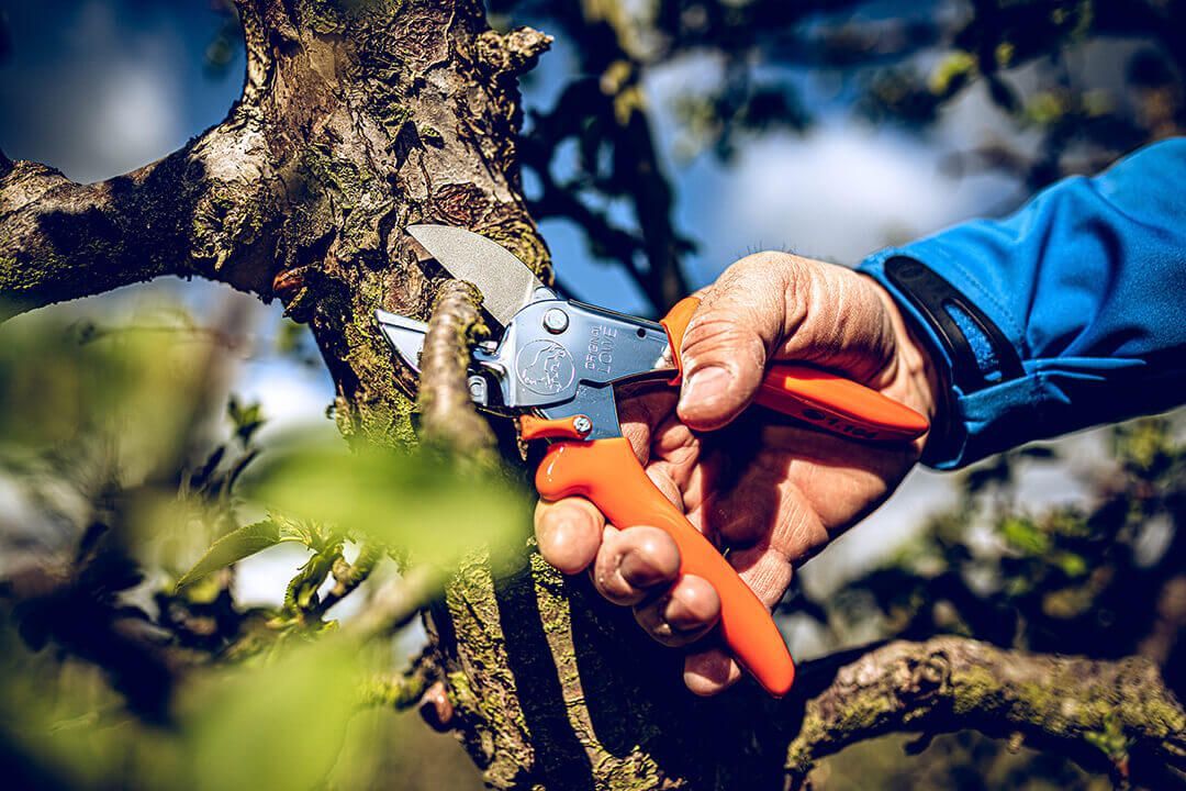 LÖWE Gardening Shear - 1104