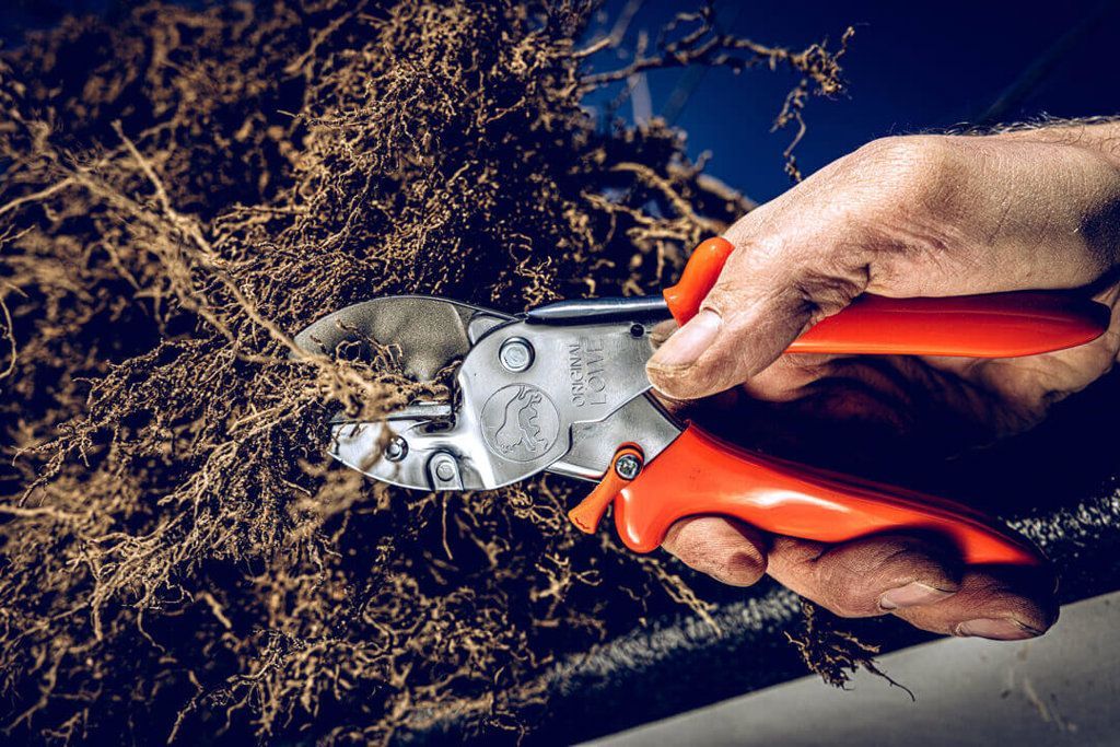 LÖWE Gardening Shear - 1104