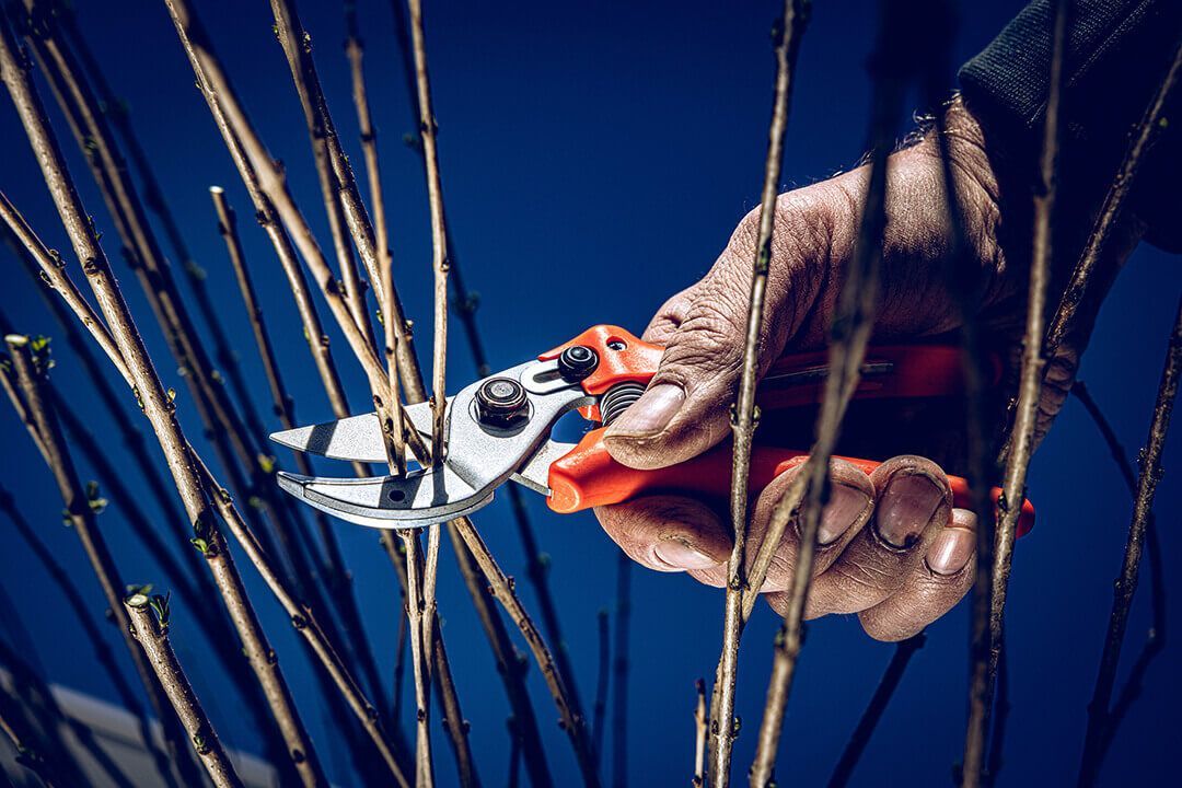 LÖWE Gardening Shear - 15104