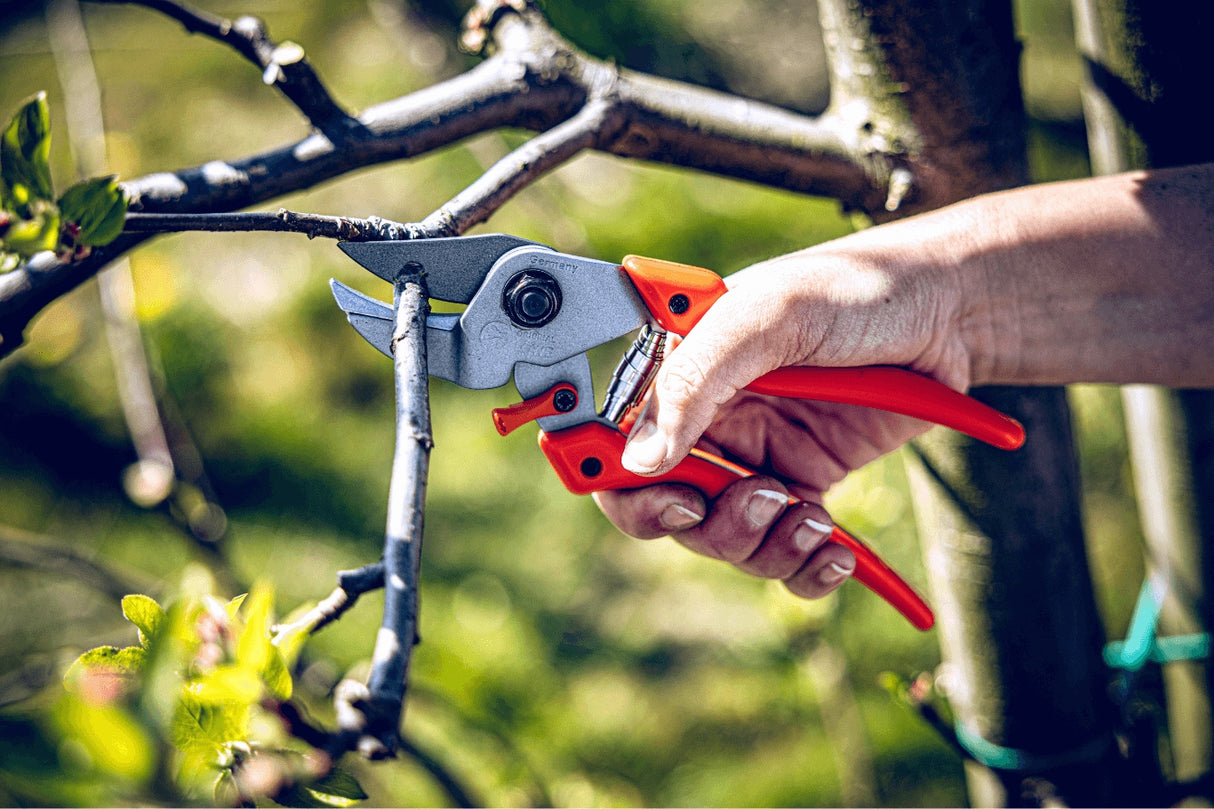 LÖWE Gardening Shear - 7104