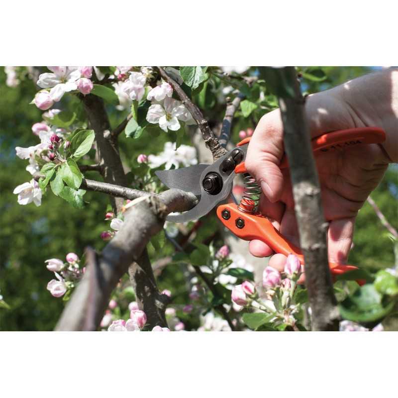 LÖWE Small Gardening Shears - 11104