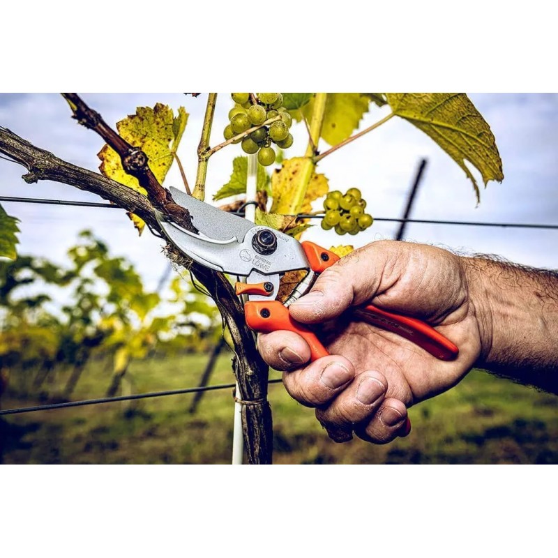 LÖWE Gardening Shear - 9104