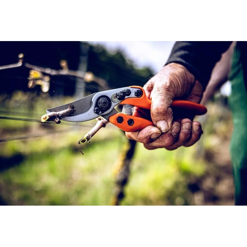 LÖWE Small Gardening Shears - 11104